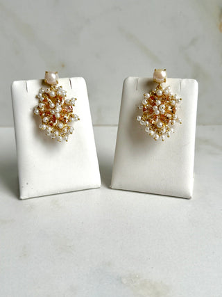 Champagne Crystal Earrings